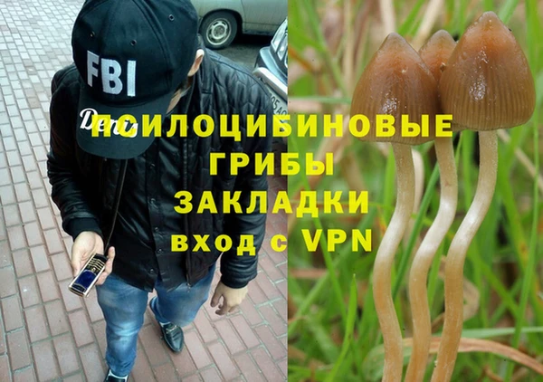 бошки Алексин