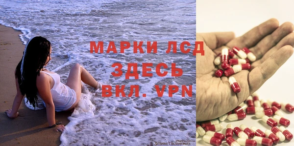 ПСИЛОЦИБИНОВЫЕ ГРИБЫ Алексеевка