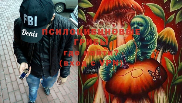 бошки Алексин