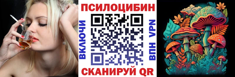 mega онион  Асино  Галлюциногенные грибы Psilocybine cubensis 