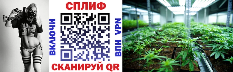 кракен ONION  Асино  Марихуана тримм 